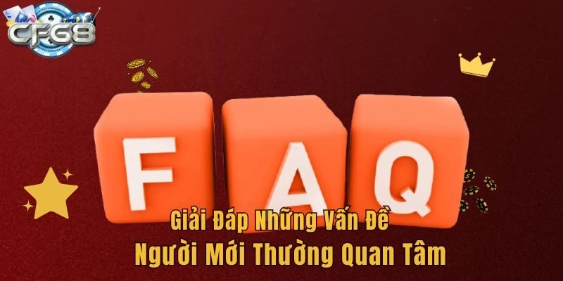 Giải đáp những vấn đề người mới thường quan tâm