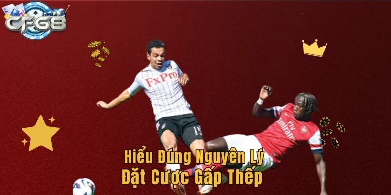 Hiểu đúng nguyên lý đặt cược gấp thếp